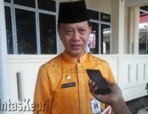 Syahrul, Wakil Walikota Tanjungpinang