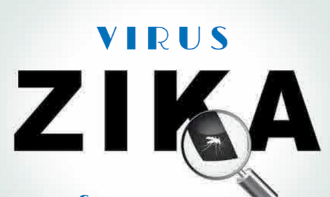 Virus Zika. Foto: Net